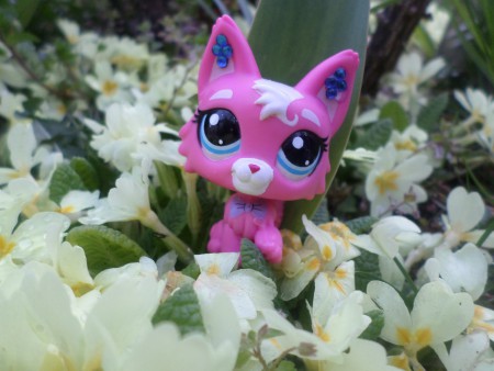 My LPS caracter